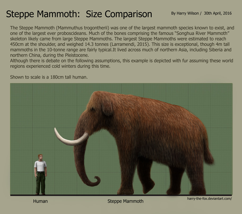 steppe_mammoth_size_comparison