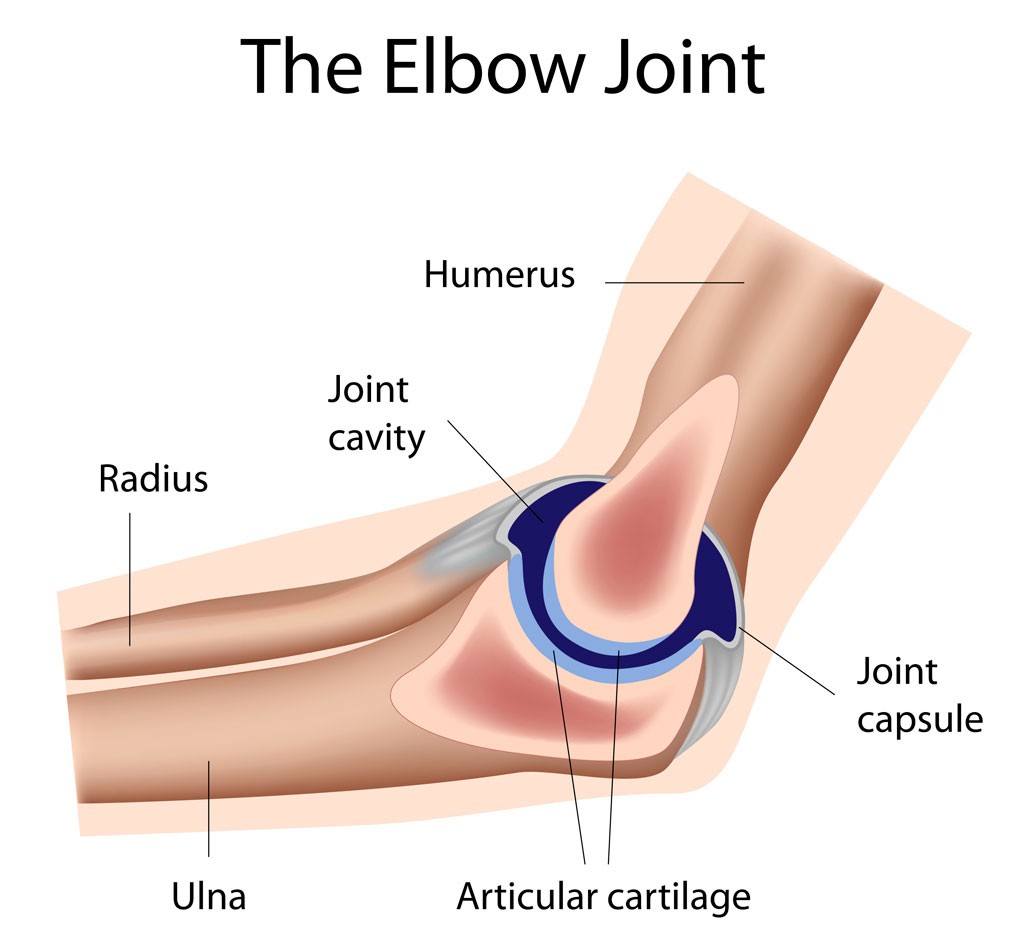 elbow-joint-1024x950-1